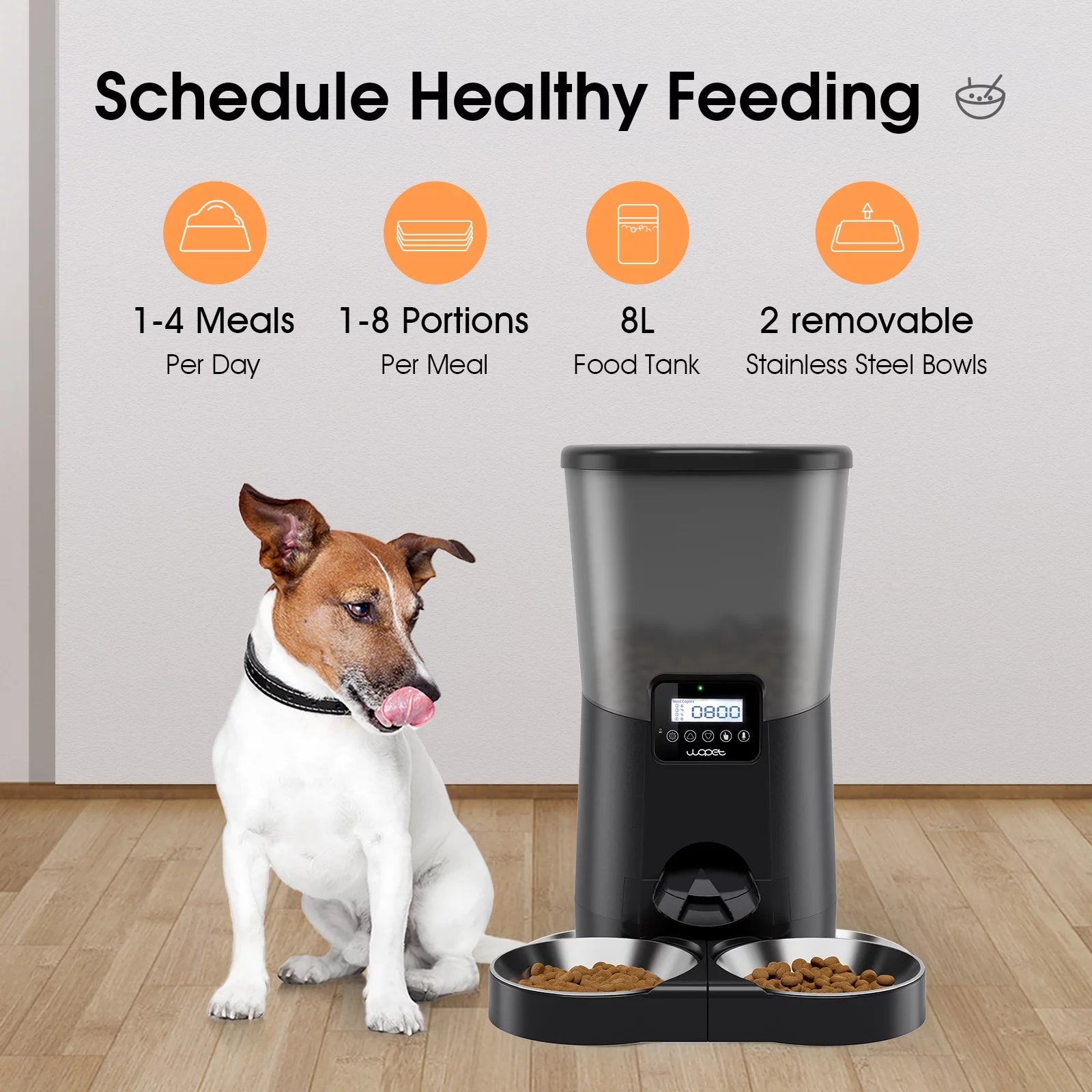 Pawever pets 10l automatic fashion pet feeder