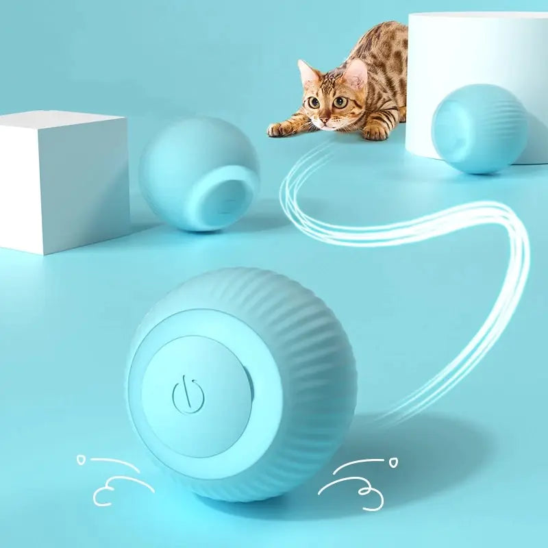 MADDEN Smart Rolling Ball: Interactive Pet Toy