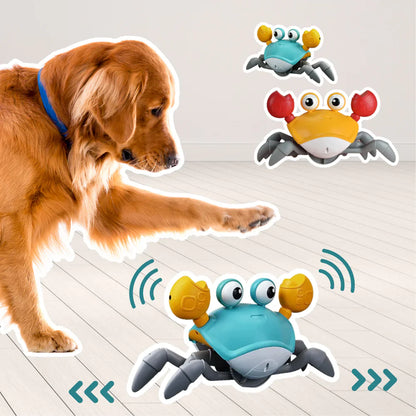 Interactive Crawling Crab Dog Toy - Automated Fun for Your Pet 🦀